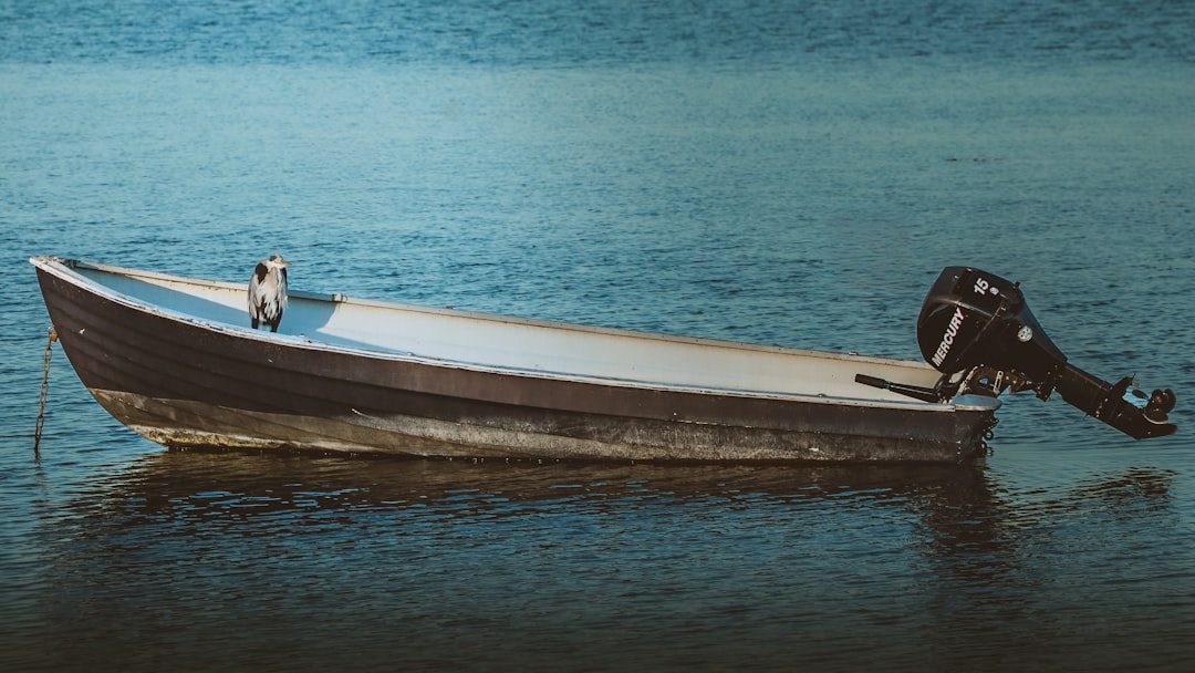 Yamaha F70: Den Ideelle Motor til Din Båd